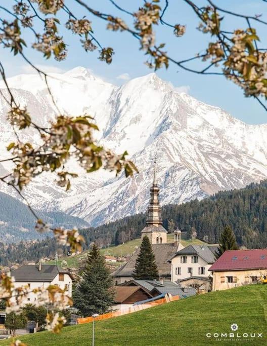 La Marmotte: Vue Mont Blanc, Terrasse, Parking Apartment Combloux Ngoại thất bức ảnh