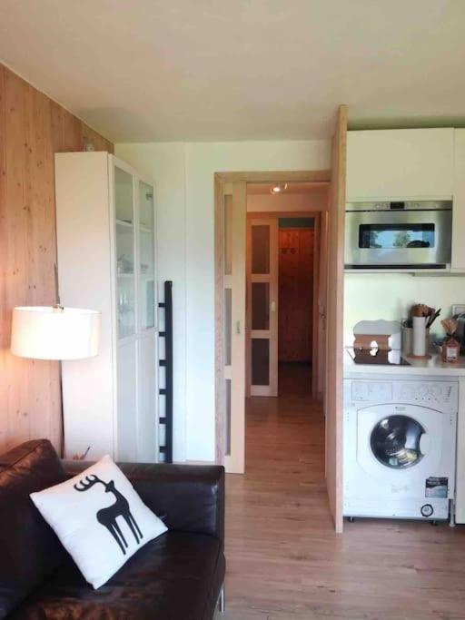La Marmotte: Vue Mont Blanc, Terrasse, Parking Apartment Combloux Ngoại thất bức ảnh